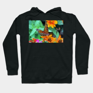 Monarch Butterfly Resting Hoodie